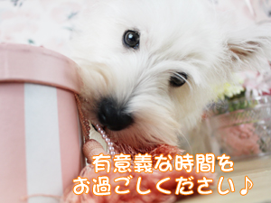 今日から１１月です！